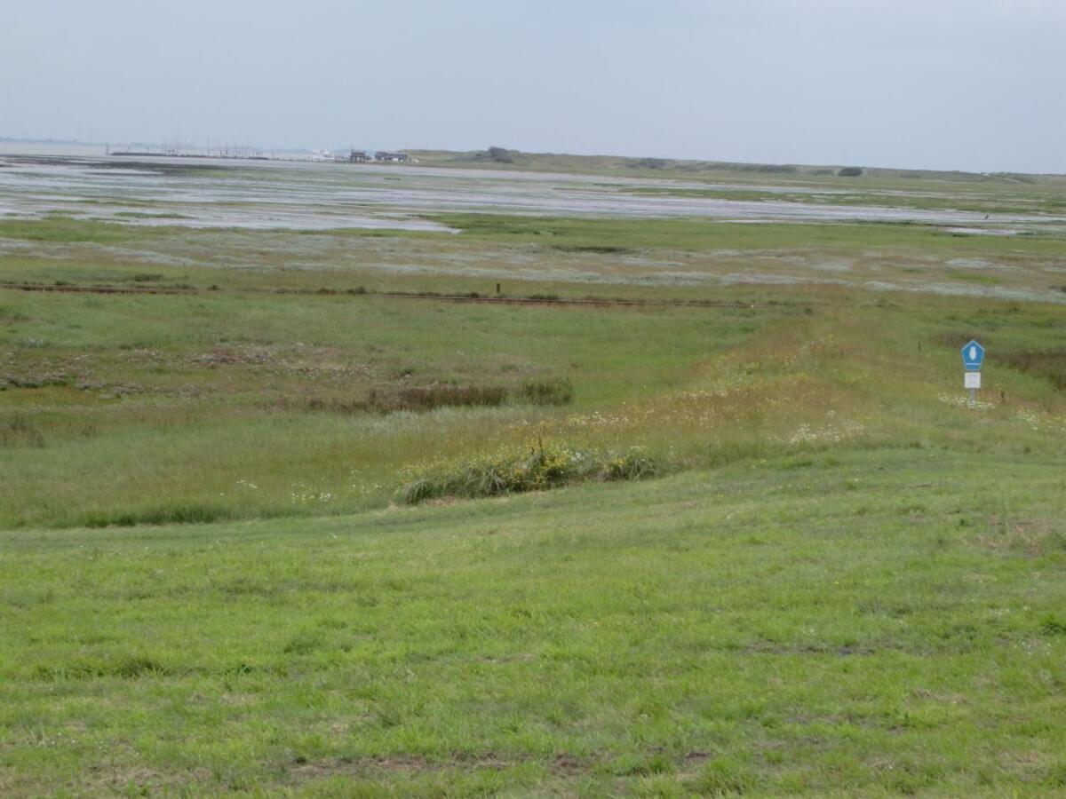 Wattwurm Lejlighed Wangerooge Eksteriør billede